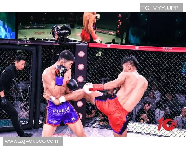播求与杨建平巅峰对决谁将成为搏击界的新王者